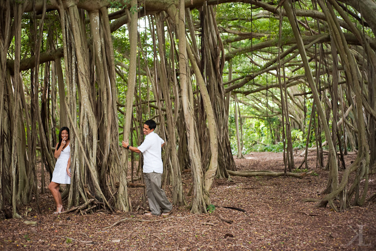 oahu north shore engagement in banyan trees
