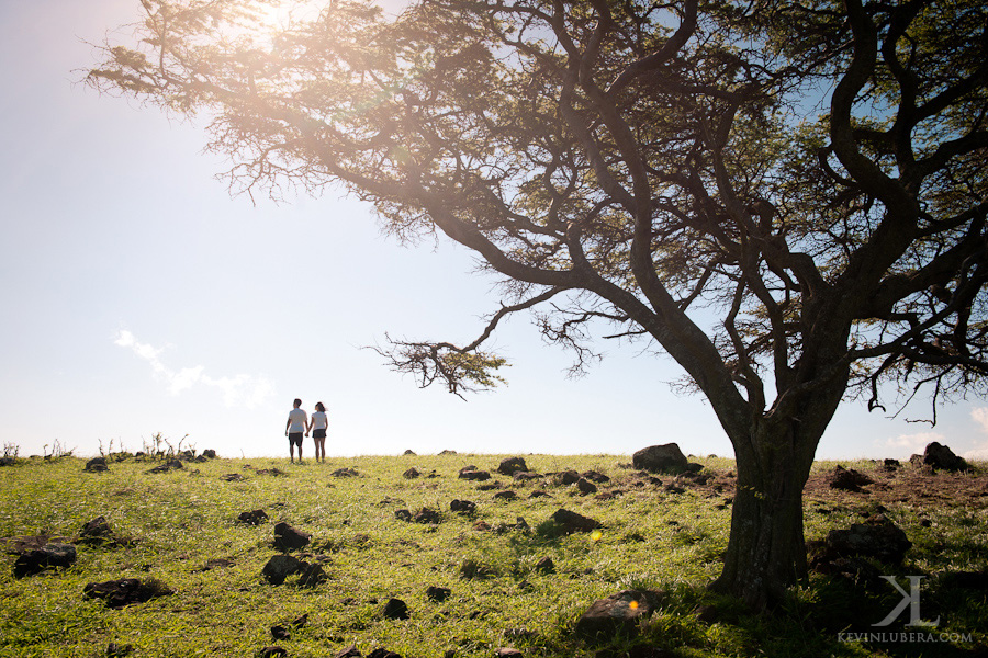 Maui Engagement Session - Haleakala